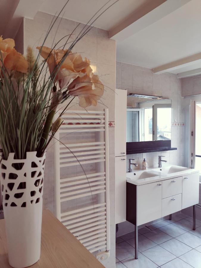 Apartamento Au Bord Du Foron Scionzier Exterior foto
