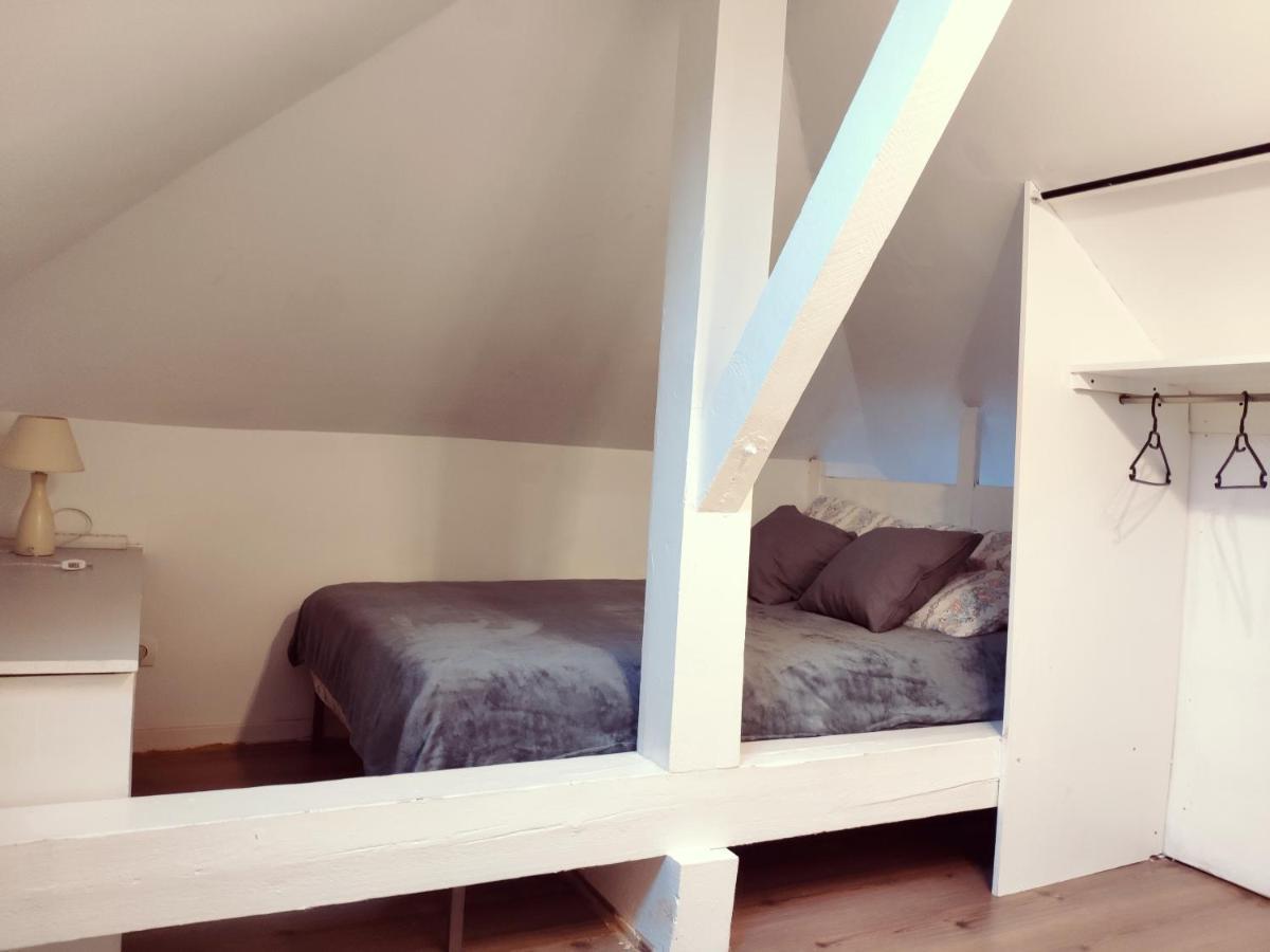 Apartamento Au Bord Du Foron Scionzier Exterior foto