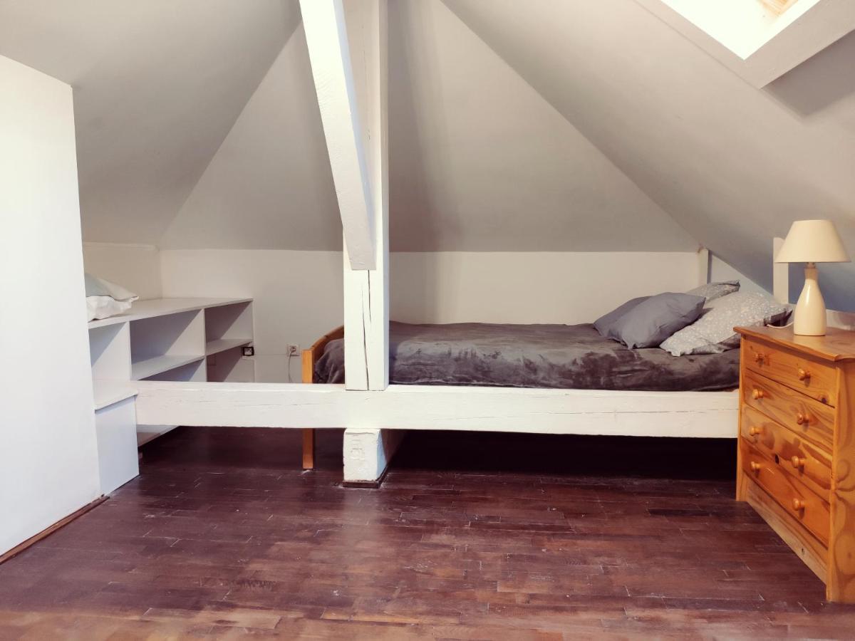 Apartamento Au Bord Du Foron Scionzier Exterior foto